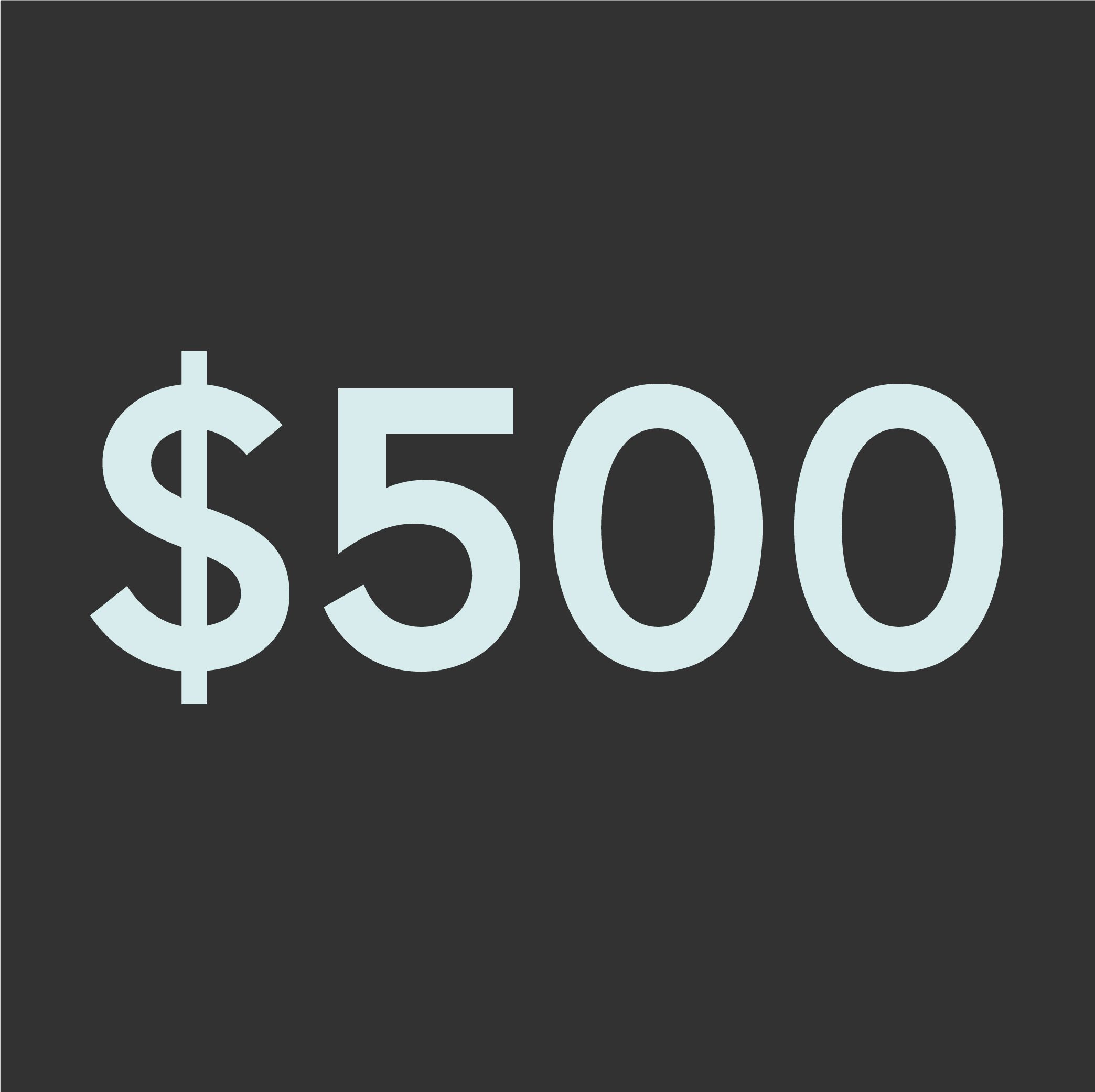 $500 Donation