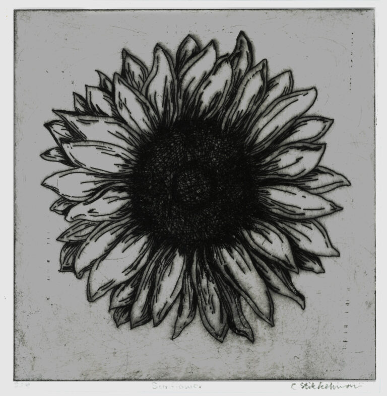 Caitlin Stikkelman Sunflower (1)